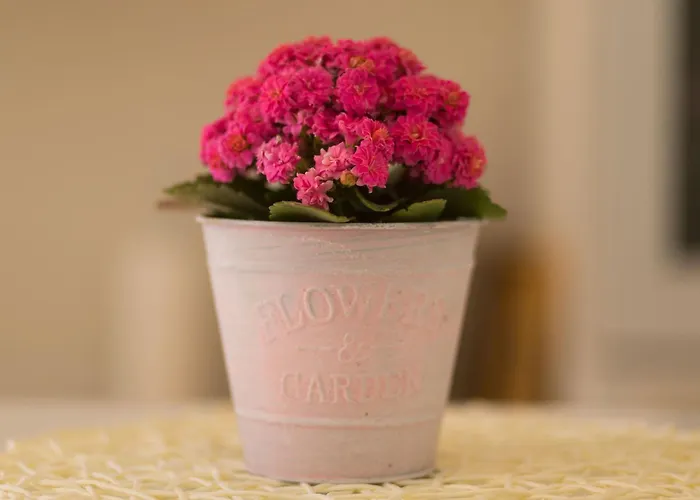 Dalmatinisches Haus In Der Altstadt Von By Interhome